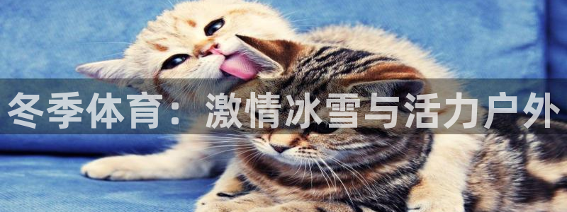 k1体育十年品牌官网：冬季体育：激情冰雪与活力户外