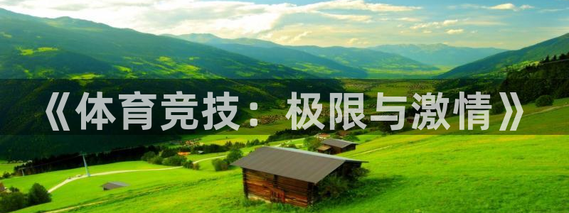 k1体育十年品牌值得信赖：《体育竞技：极限与激情》
